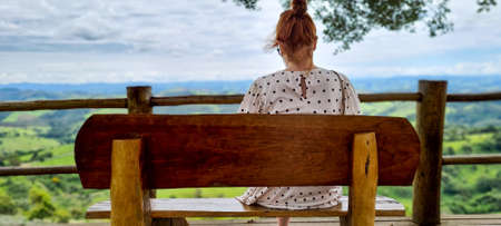 Lavender Benchの写真素材