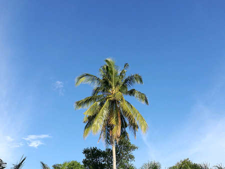 blue skyの素材