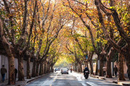 Shanghai autumnのeditorial素材