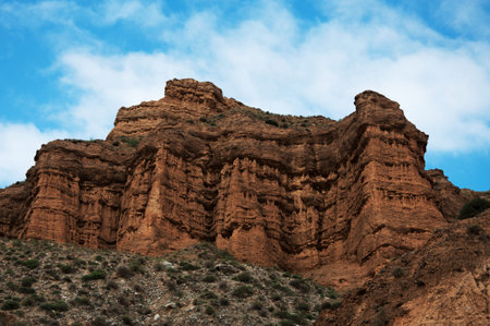 Nature scenery view