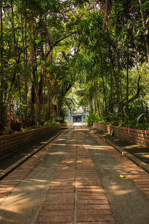 Chiang Mai pacin Templeの写真素材