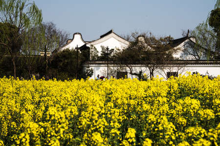 Ancient architectural ruinsのeditorial素材