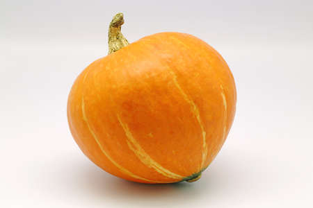 Pumpkinの写真素材