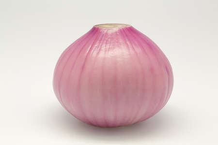 A onion featureの写真素材