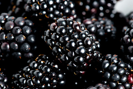 details of blackberries
