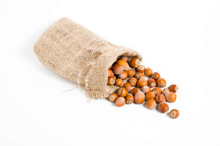 Hazelnuts isolated on white background, macro imageの写真素材