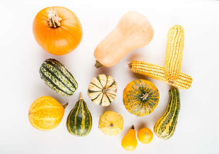 Fresh pumpkins isolated on white backgroundの写真素材