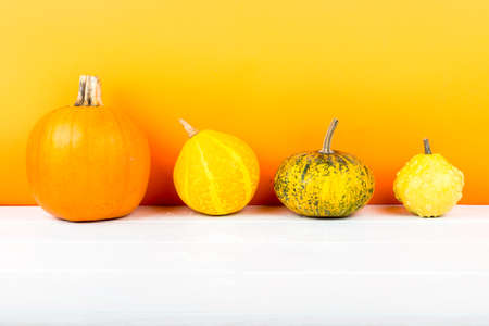 Fresh pumpkins isolated on white wooden table and orange backgroundの写真素材