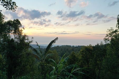 Jungle view in the north of Bali Indonesiaの写真素材