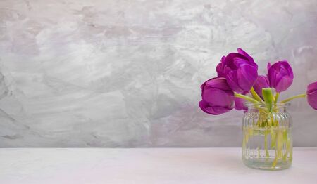 Horizontal view of vase with violet vibrant tulips on grey surface.の写真素材