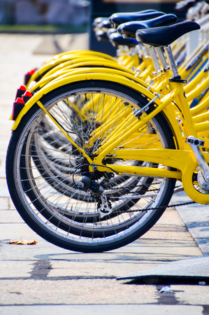 yelow bicycles lined upの写真素材