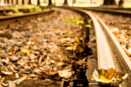Railway tracks with autumn leaves. Selective focus. Abstract background.の写真素材