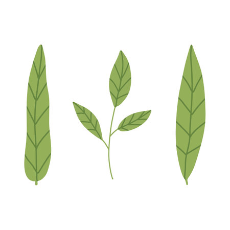 Spring greenery vector hand drawn element. Leaves and flowersのイラスト素材