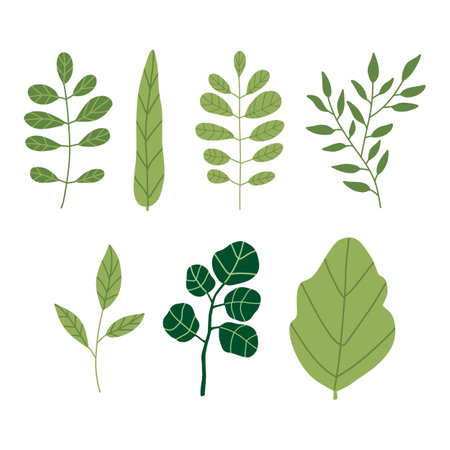 Spring greenery vector hand drawn element. Leaves and flowersのイラスト素材