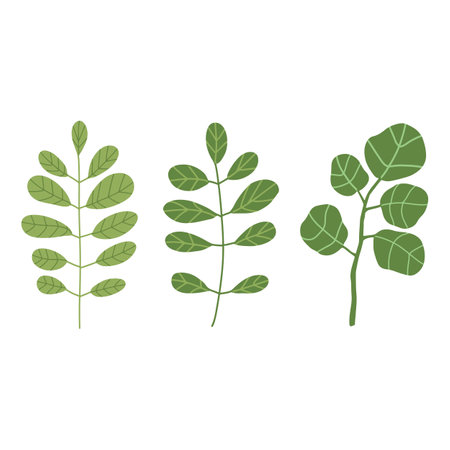 Spring greenery vector hand drawn element. Leaves and flowersのイラスト素材