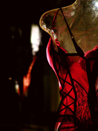 VITRINE DOLLの写真素材