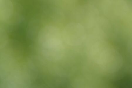 Blurred bokeh nature background. Abstract natural backdrop of park or garden. Soft defocused photo of plants with leaves and stems. Tree, bush or grass made with bokeh effect.の写真素材