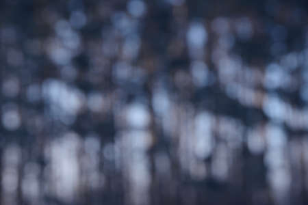 Beautiful soft creamy forest bokeh background. Defocused wild nature wallpaper. Blurred natural abstract image of sky and trees colored with sunlight.の写真素材