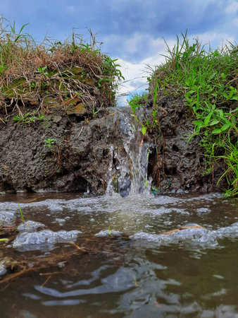 appearance of irrigation methods for rice fields to be planted rice