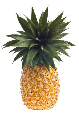fresh Florida pineapple isolated on whiteの写真素材