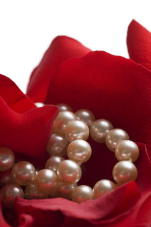 red rose background with pearlsの写真素材