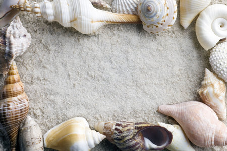 seashells framing sand shot with a macro lens