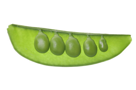 green pea pod isolated on a white background