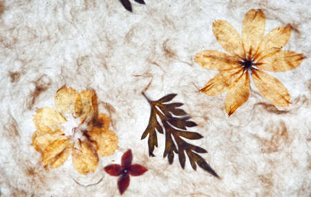 handmade paper background with texturesの写真素材