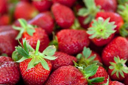 ripe red strawberries with stems and leavesの写真素材