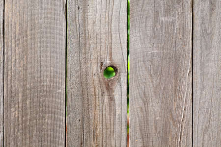 rough wooden fencing background with knot holeの写真素材