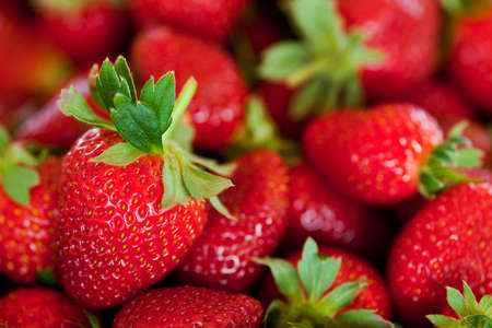 ripe red strawberries with stems and leavesの写真素材