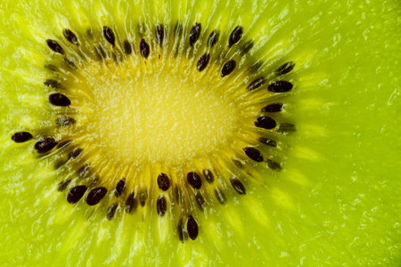 kiwi isolated on a pure white background