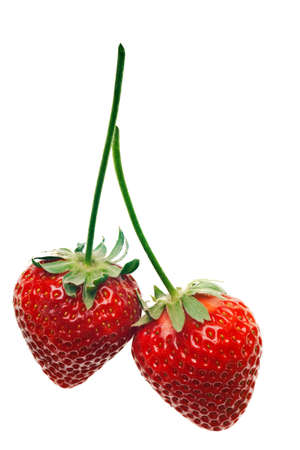 ripe red strawberries with stems and leaves isolated on white backgroundの写真素材