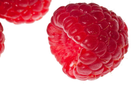raspberry isolated on a pure white background