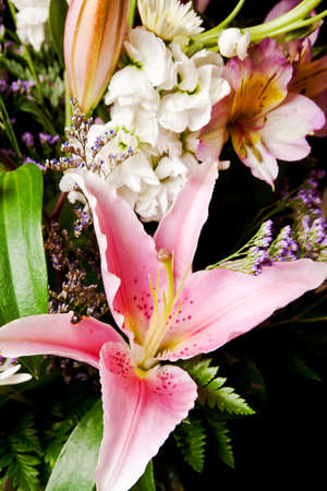 bouquet of flowers isolated on a white backgroundの写真素材