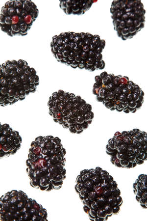 blackberries isolated on a pure white backgroundの写真素材