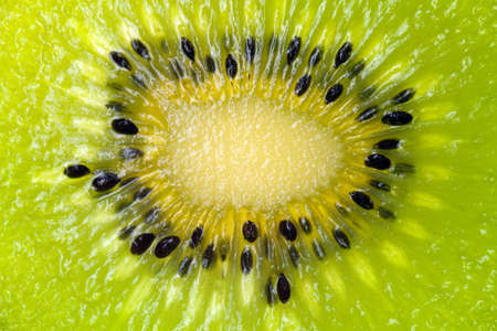 kiwi isolated on a pure white backgroundの写真素材