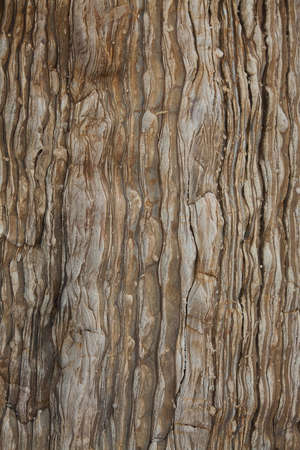 backgroundの写真素材