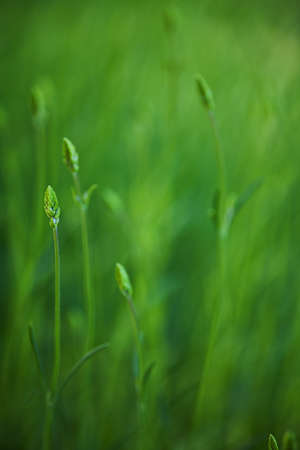 backgroundの写真素材