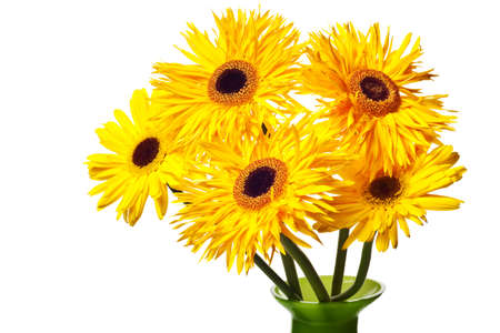 yellow daisies in a vase isolated on a black backgroundの写真素材