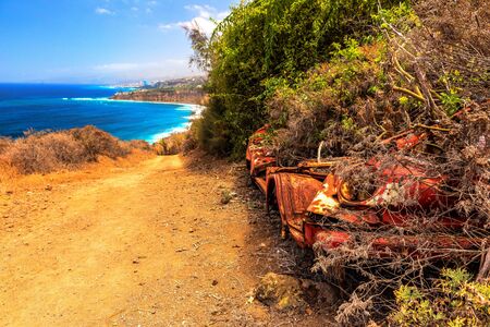 picture old car covered with vegetationの写真素材