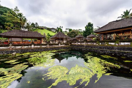 The pool of holy springs at Tirta Empul, Bali Indonesia のeditorial素材