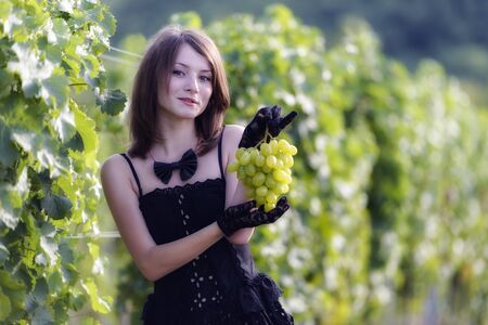 Woman inspecting grapes in a vineyardの写真素材