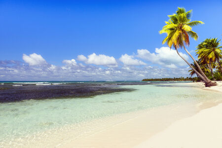 Caribbean wild beach, Punta Canaの写真素材