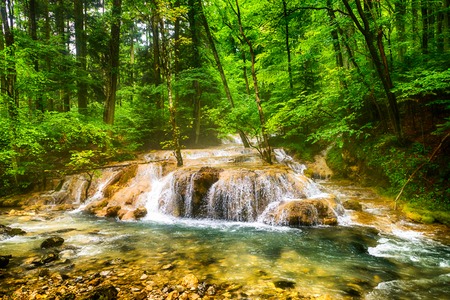 River deep in mountain forest  Nature composition の写真素材