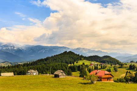Beautiful summer landscape in the mountains. Romania
