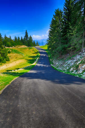 Beautiful summer landscape in the mountains. Romaniaの写真素材