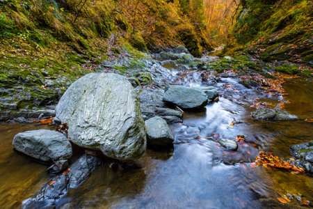 Landscape with Valea lui Stan canyon and river in Romania, in the autumn