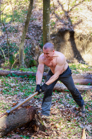 woodcutter cut a trunk with an ax in forestの写真素材