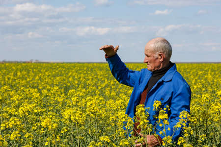 old farmer in a field researching plantsの写真素材